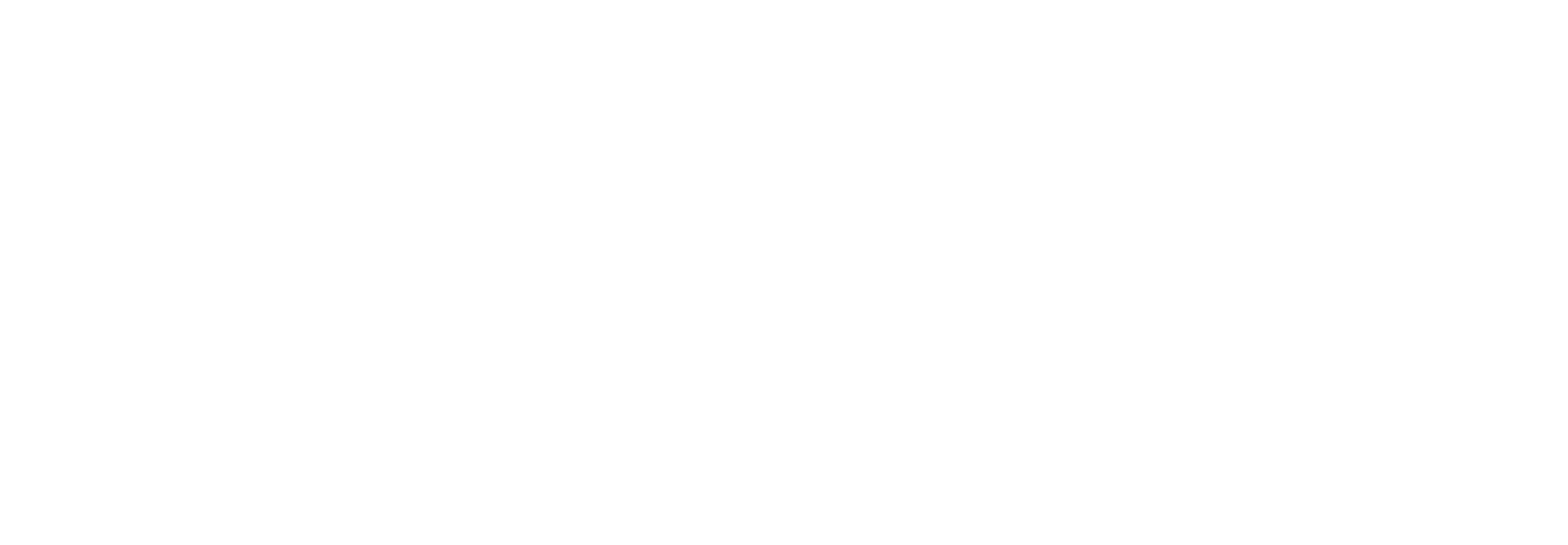 logo light